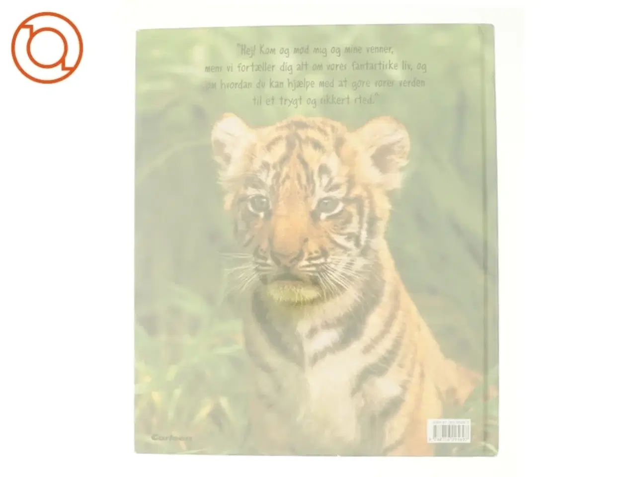 Billede 3 - Dyr som os fra Bog