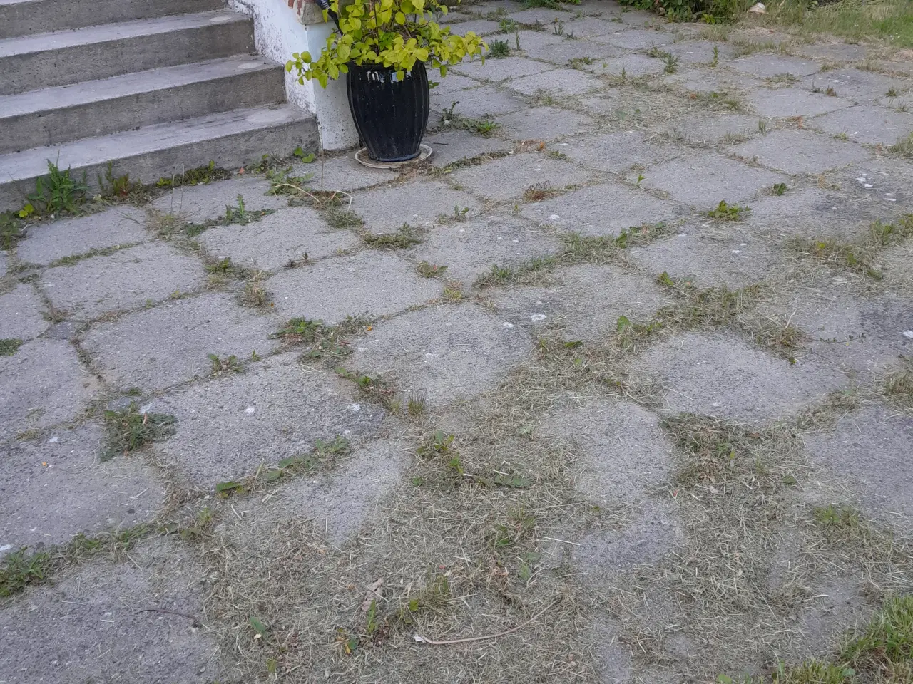 Billede 2 - Fliser bortgives ca 20 m² 94 stk samt 10x10 cm ste