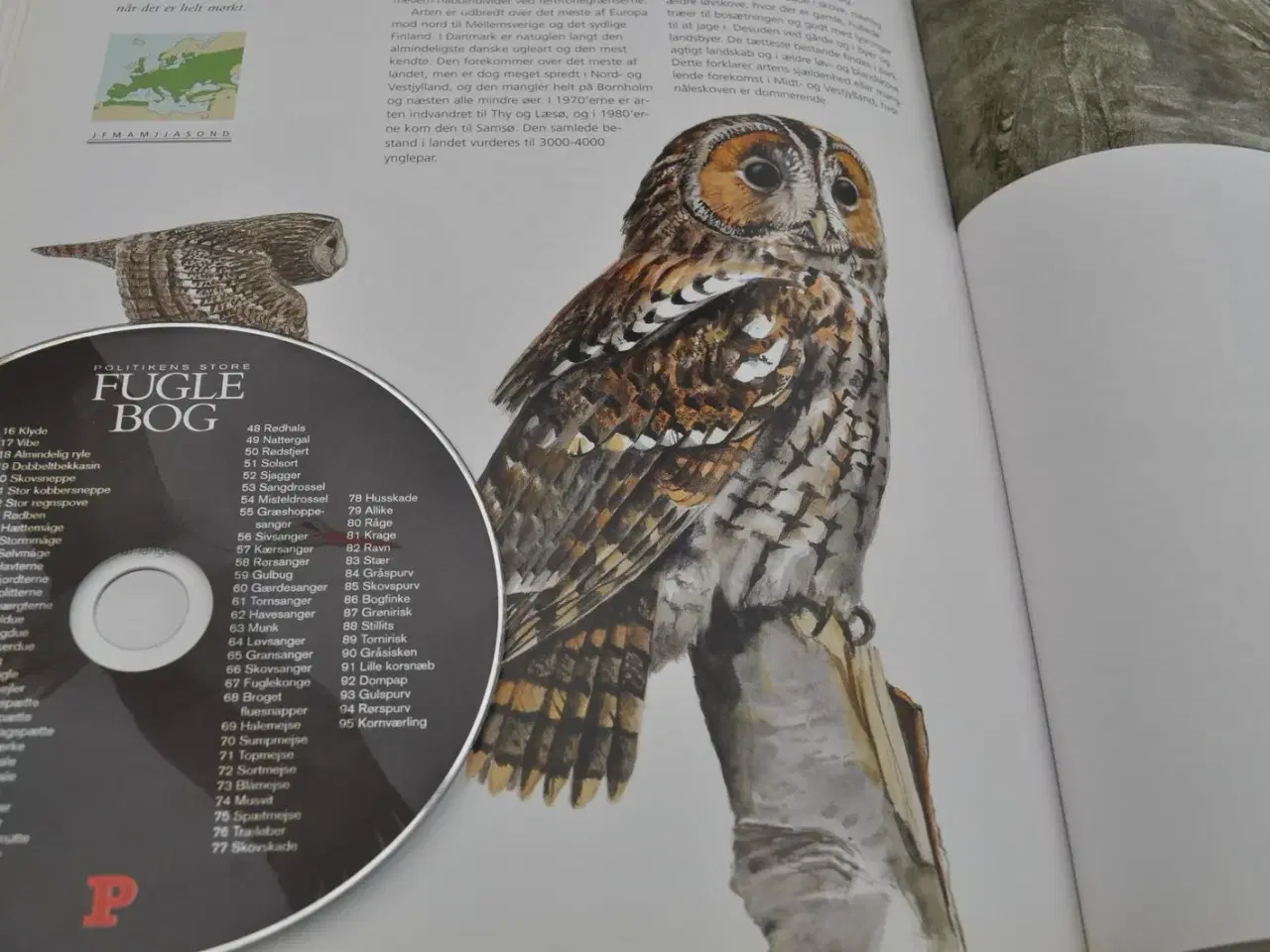 Billede 6 - Fugle og deres lyde på CD. Fantastisk!
