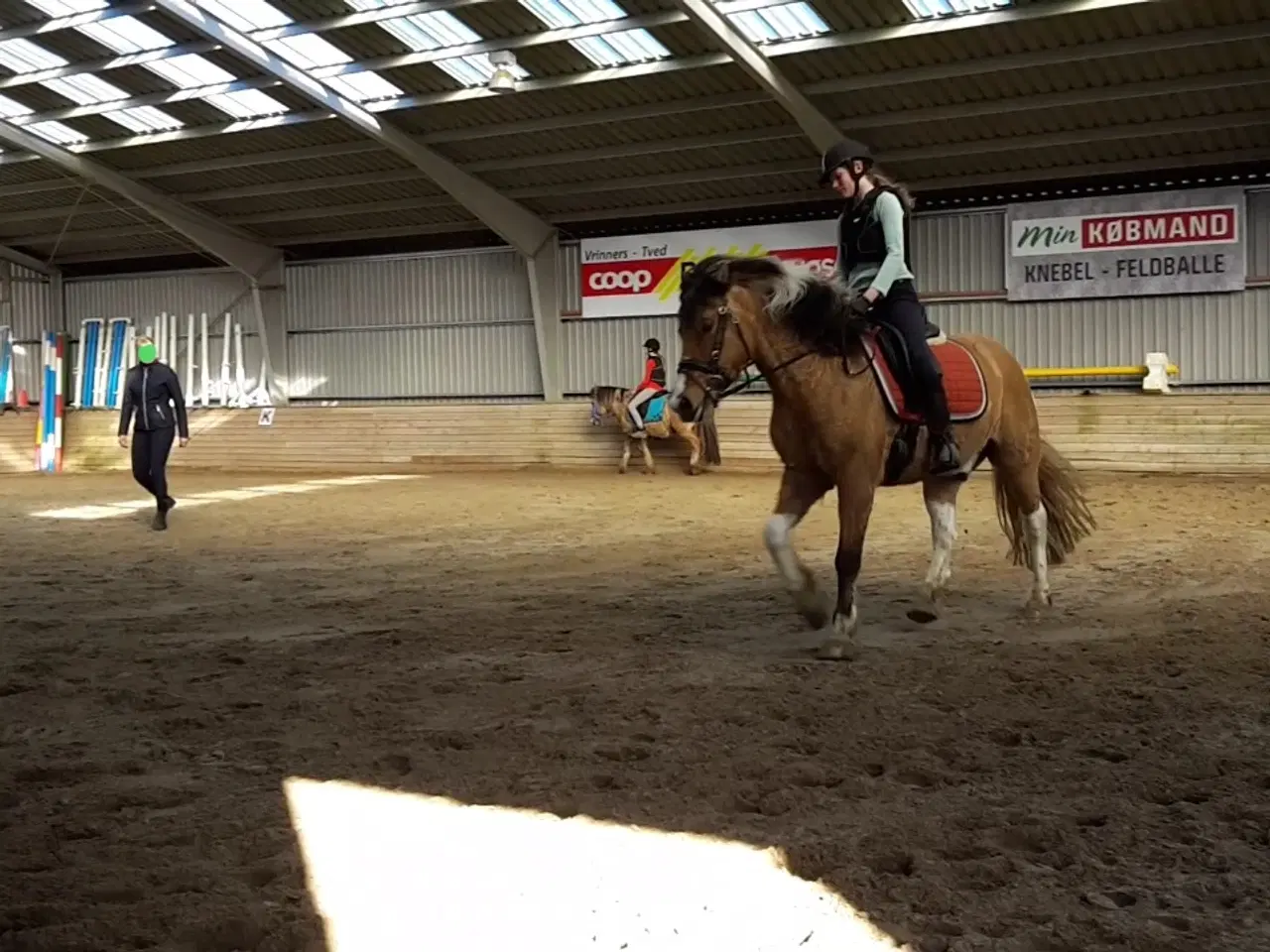 Billede 13 - Pinto/nordbakker blanding 