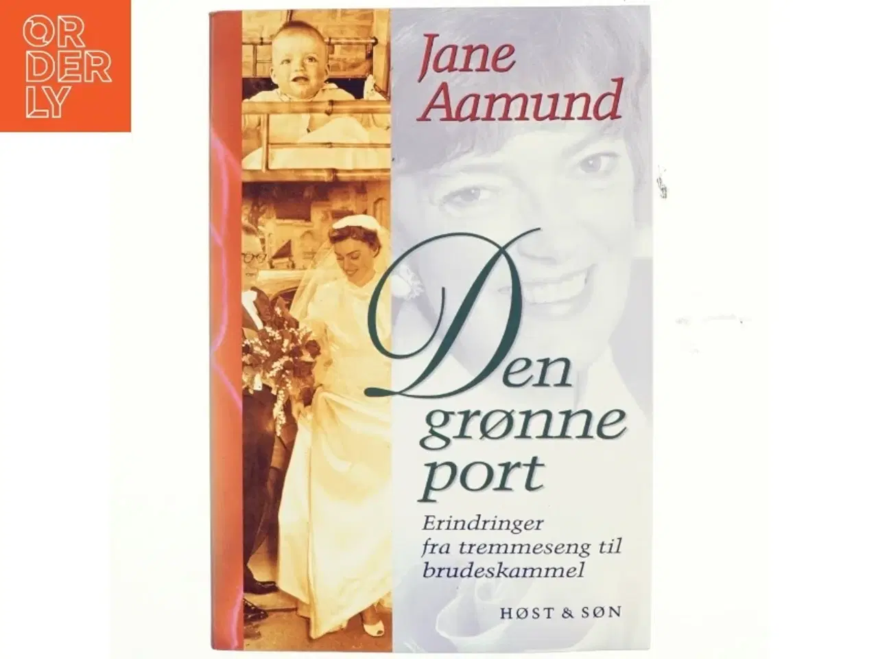 Billede 1 - Den grønne port af Jane Aamund