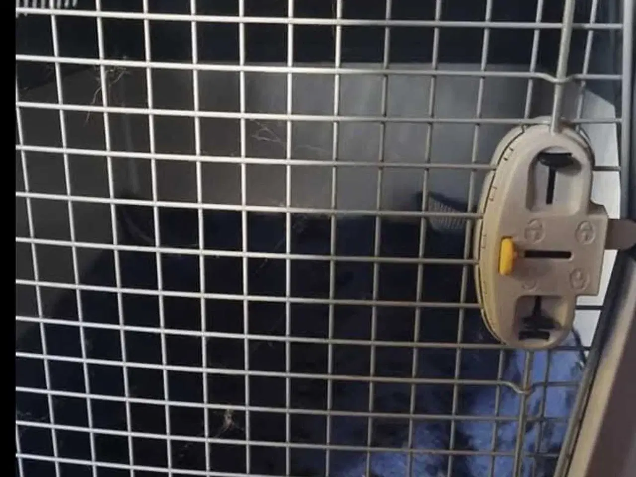 Billede 2 - Trixie gulliver 7 transport kasse