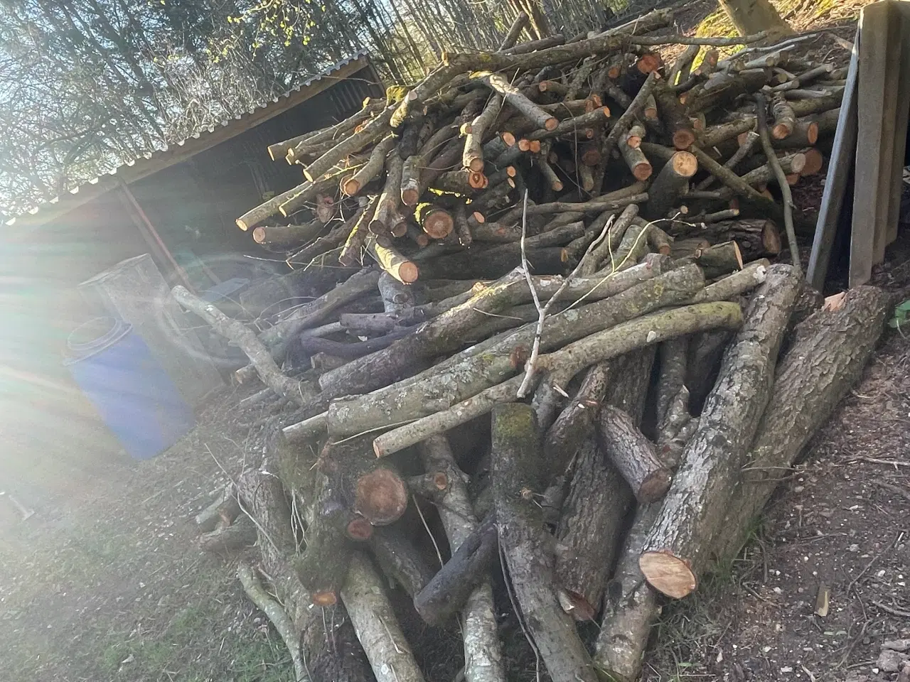 Billede 3 - Brænde sælges