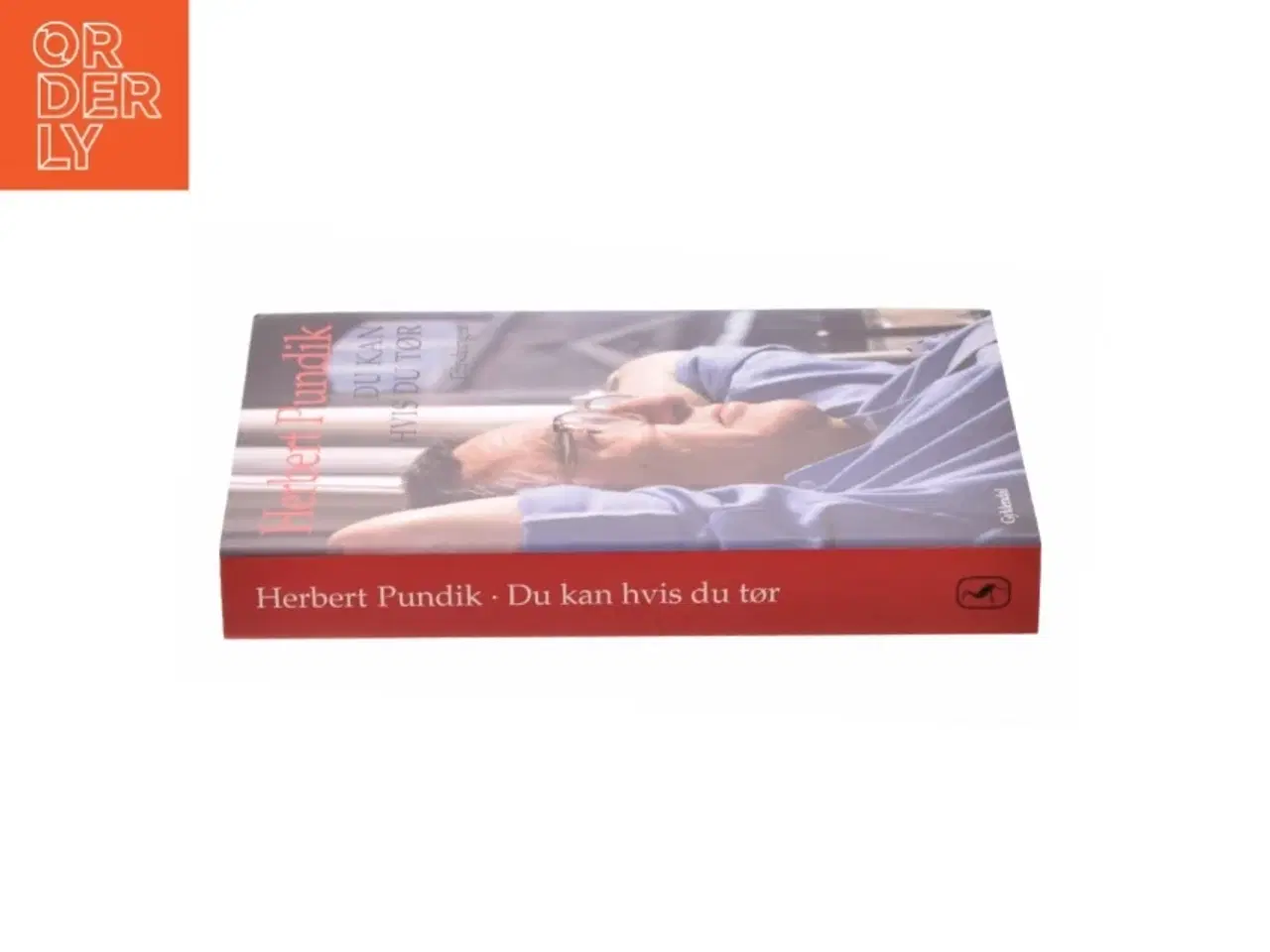 Billede 3 - Du kan hvis du tør af Herbert Pundik (Bog)