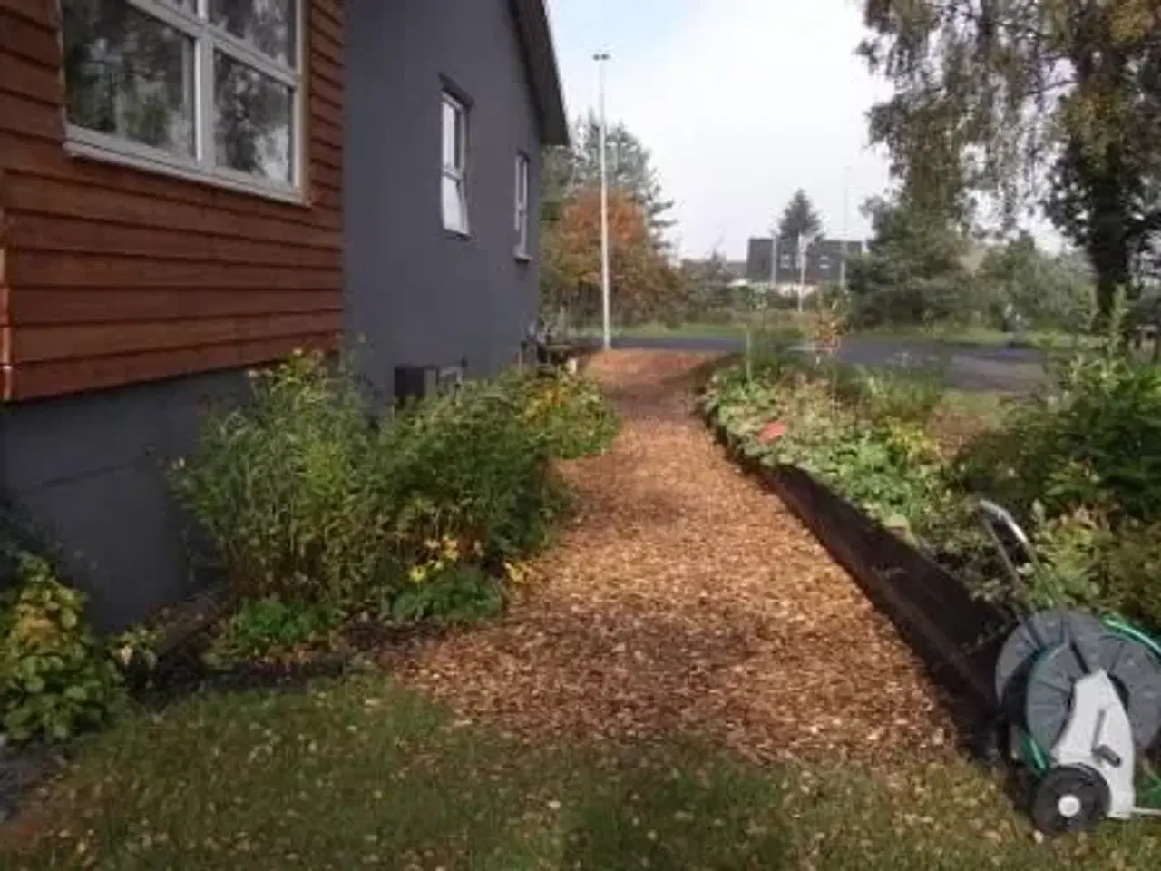 Billede 5 - Træflis