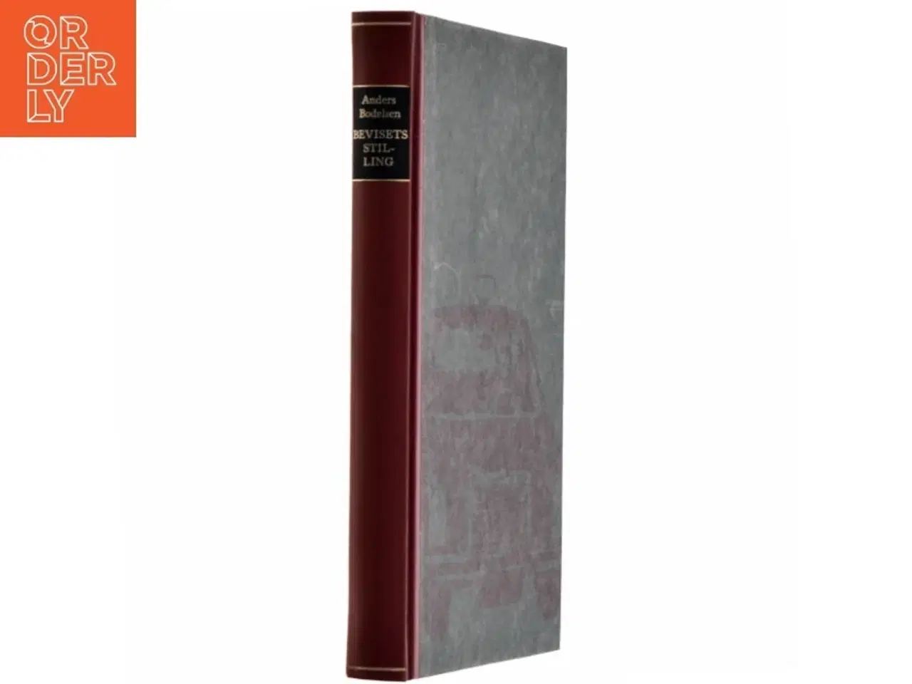 Billede 2 - Bodelsen, Anders - Bevisets stilling