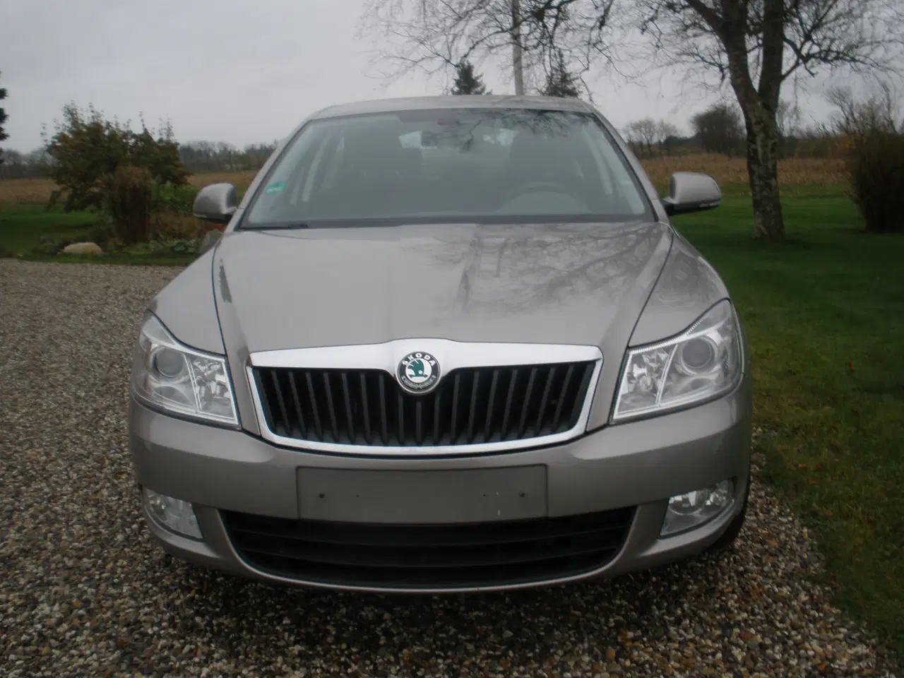 Billede 2 - Skoda Octaria 1,4 TSI 5 dørs