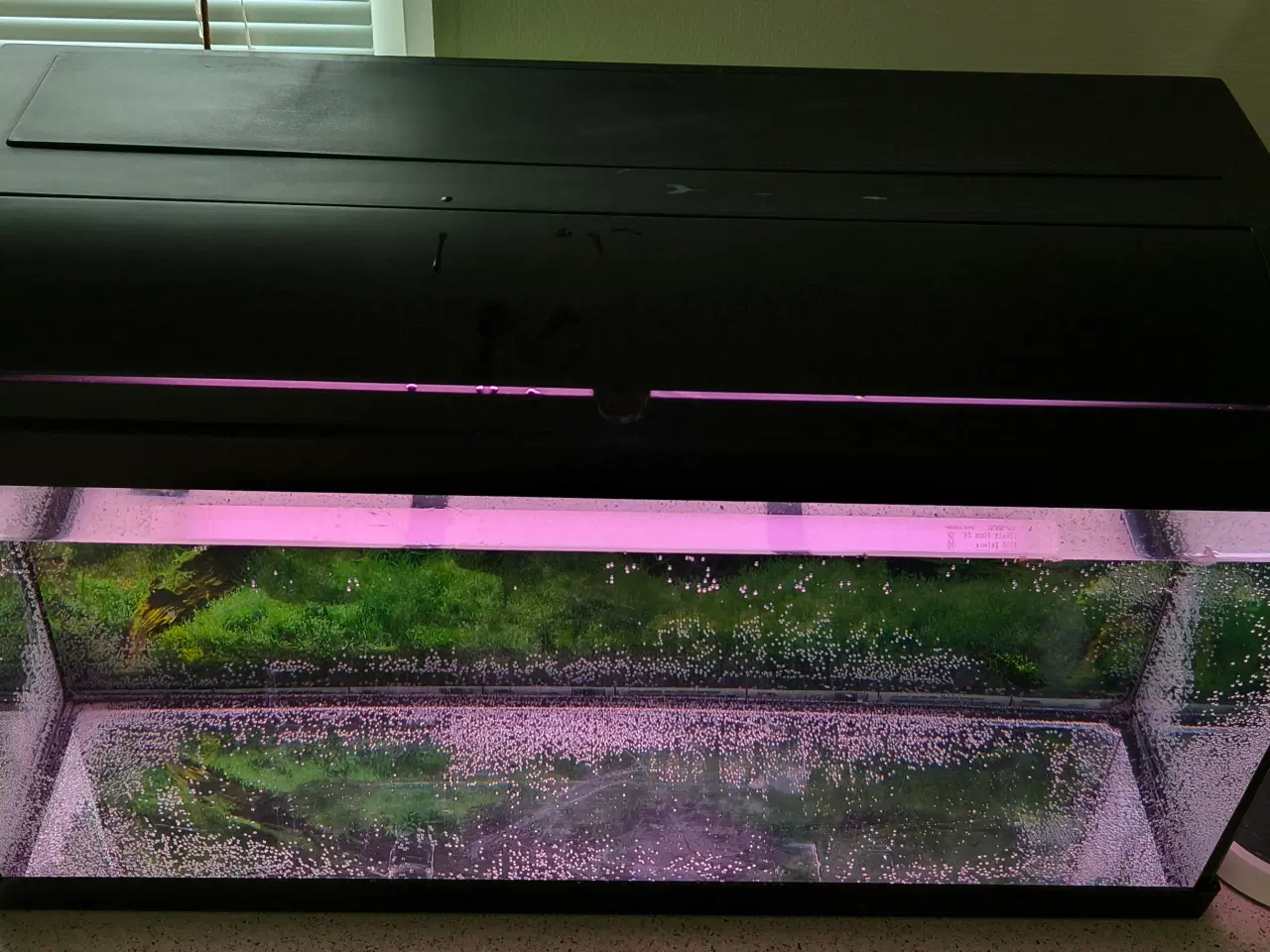Billede 2 - 96 liters akvarie sælges 