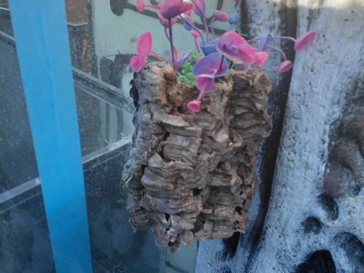 Billede 5 - terrarium