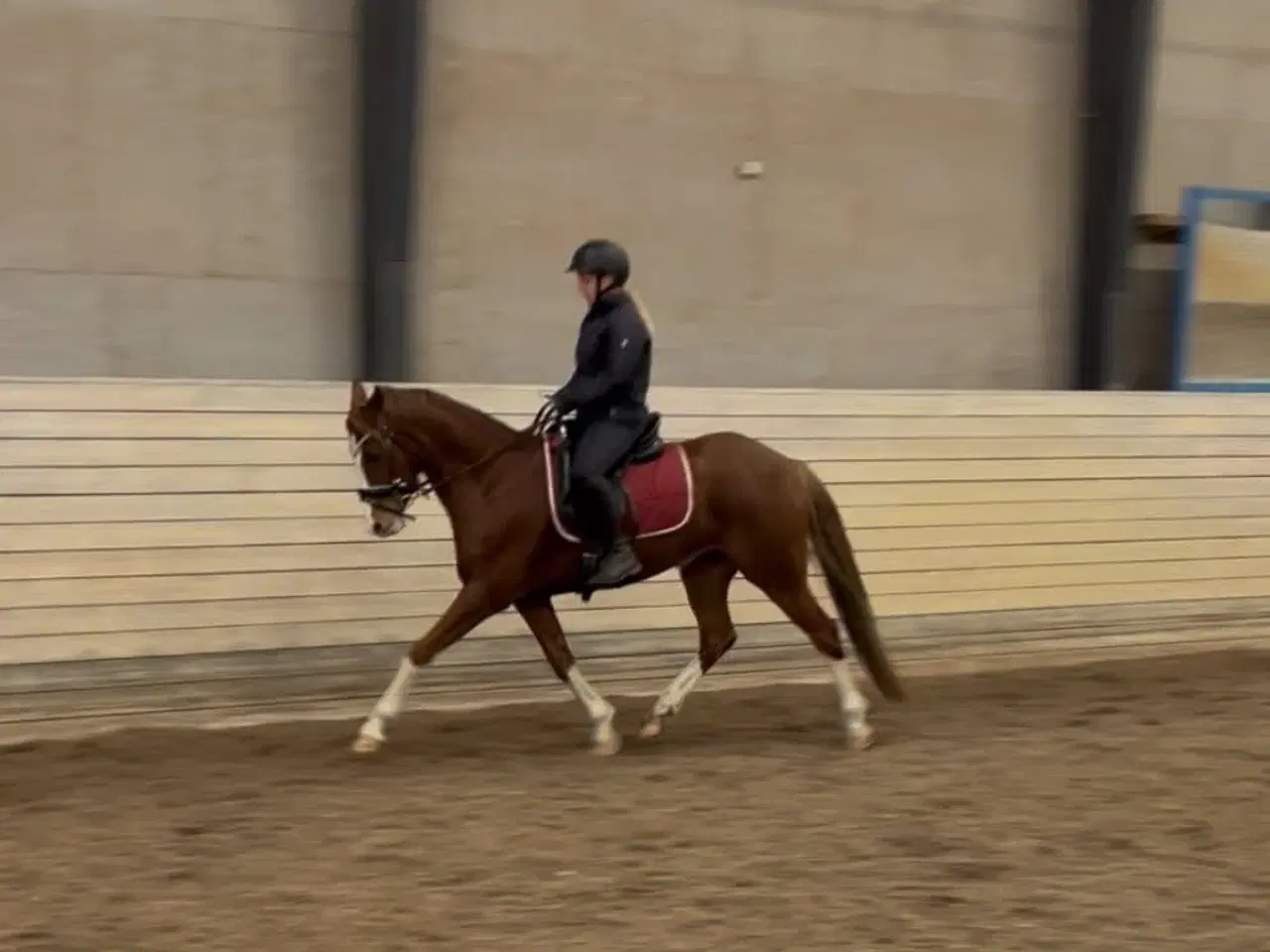 Billede 6 - Pony med Wow effekt