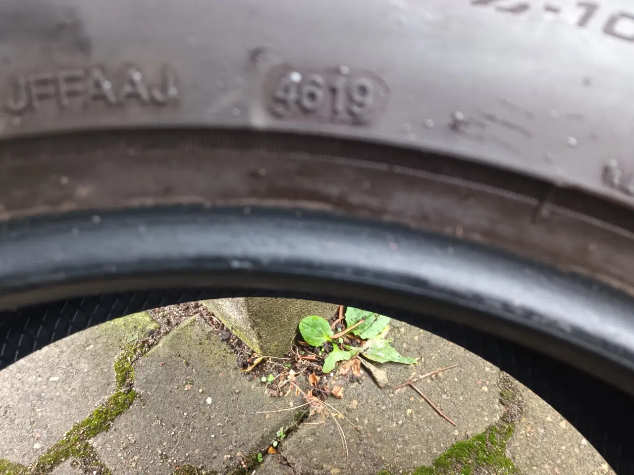 Billede 5 - Sommerdæk 