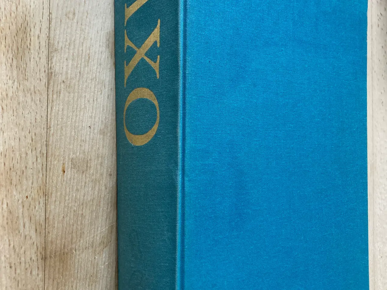 Billede 1 - Danmarks Krønike, Saxo Grammaticus