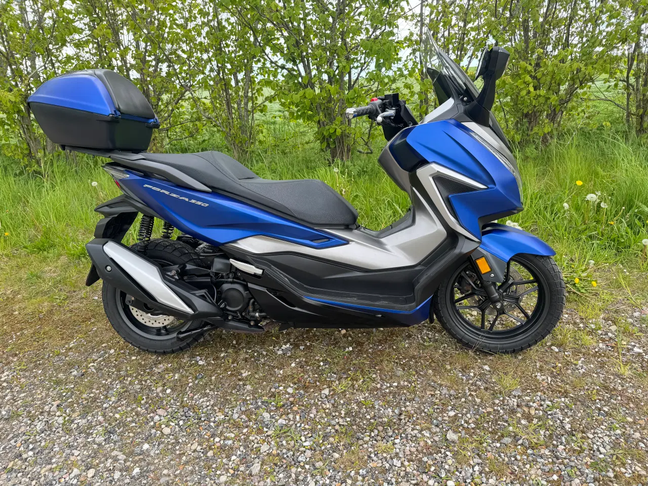 Billede 4 - Honda NSS350