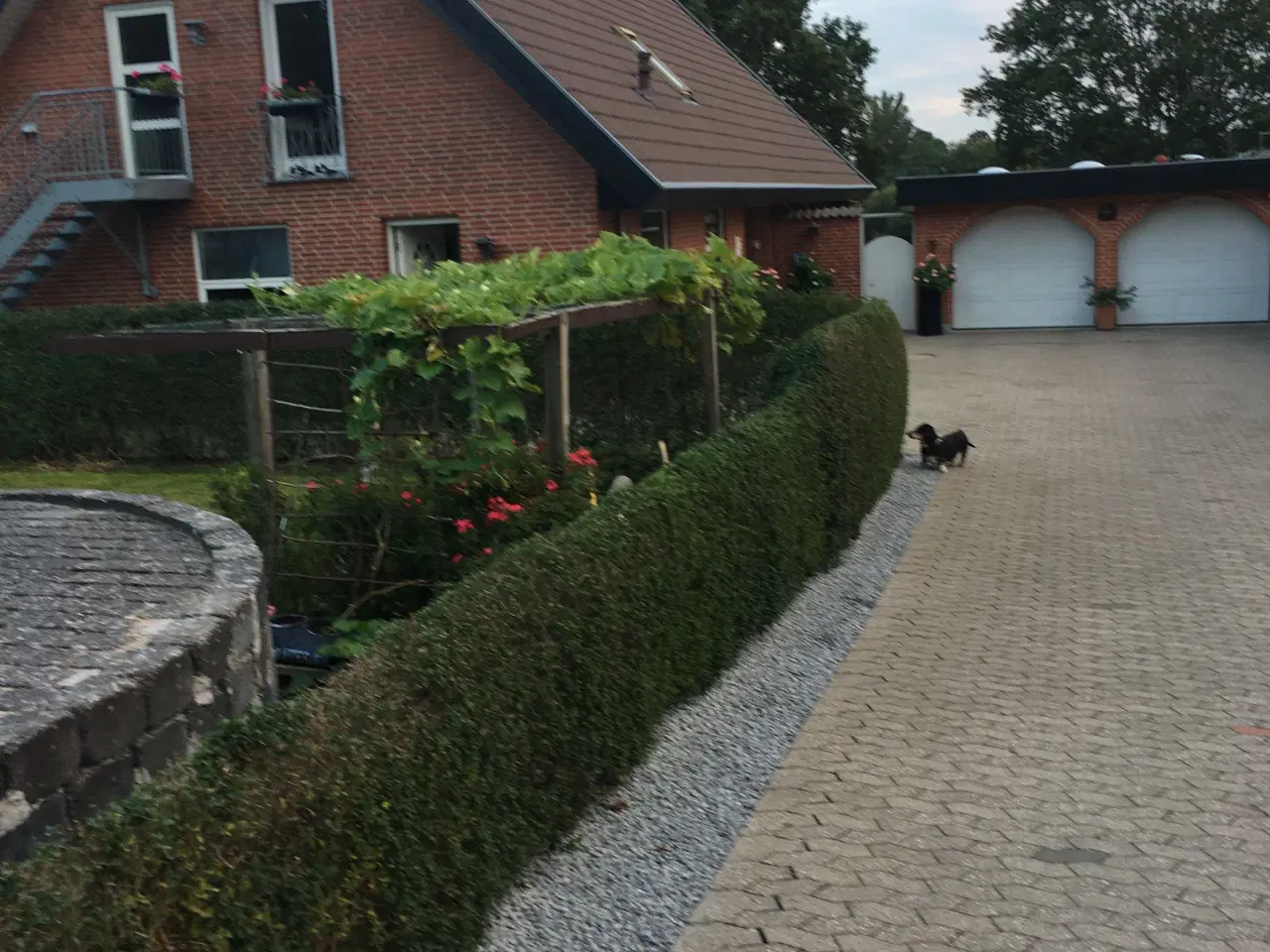 Billede 1 - Nyistandsat 1.sals villa lejlighed udlej. i Odense