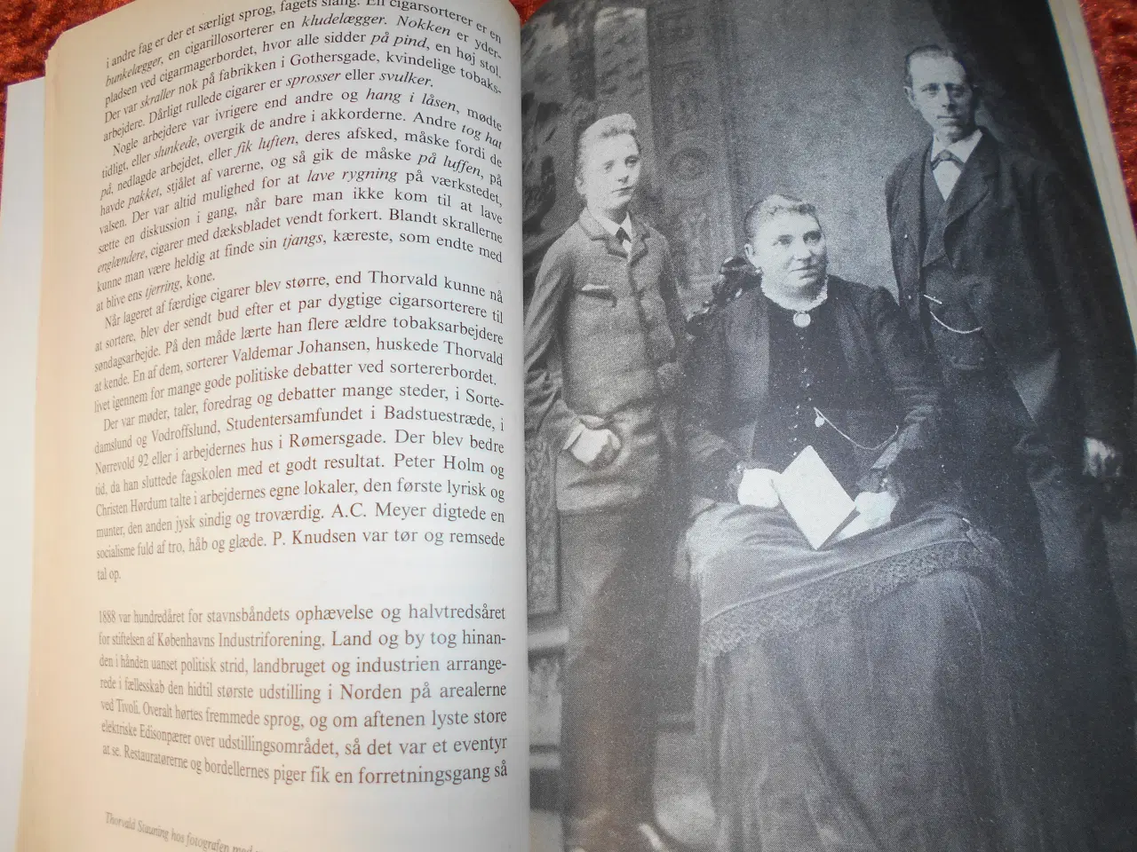 Billede 2 - Rapport fra et kvindeunivers, Eva Marianne Thune J