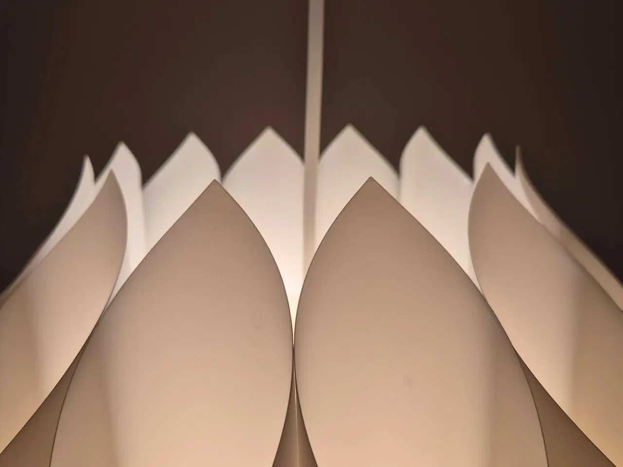 Billede 7 - Velholdte og smukke hvide Butterfly 