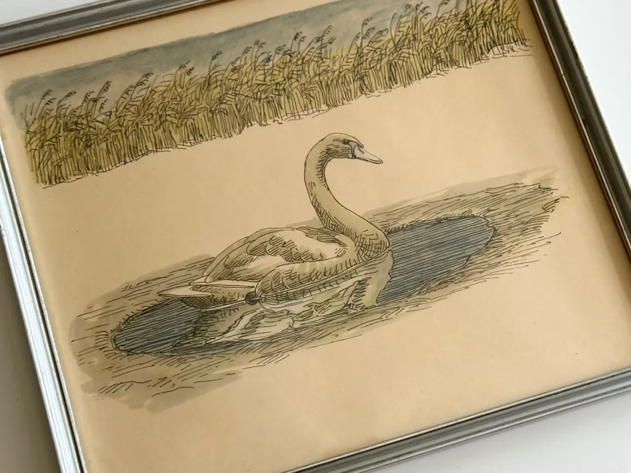 Billede 2 - Johannes Larsen, svane i vand