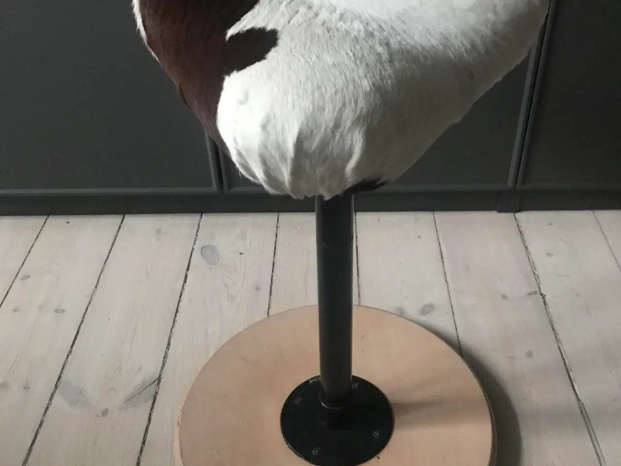 Billede 1 - Stokke-stol af modellen Variér, betrukket med kosk