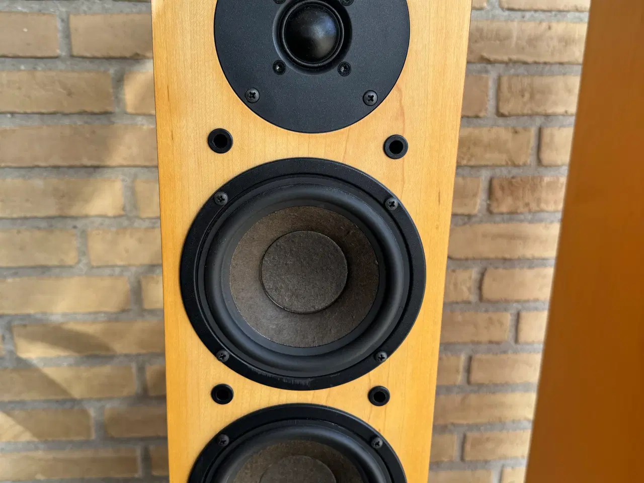 Billede 3 - DLS R55 højttalere
