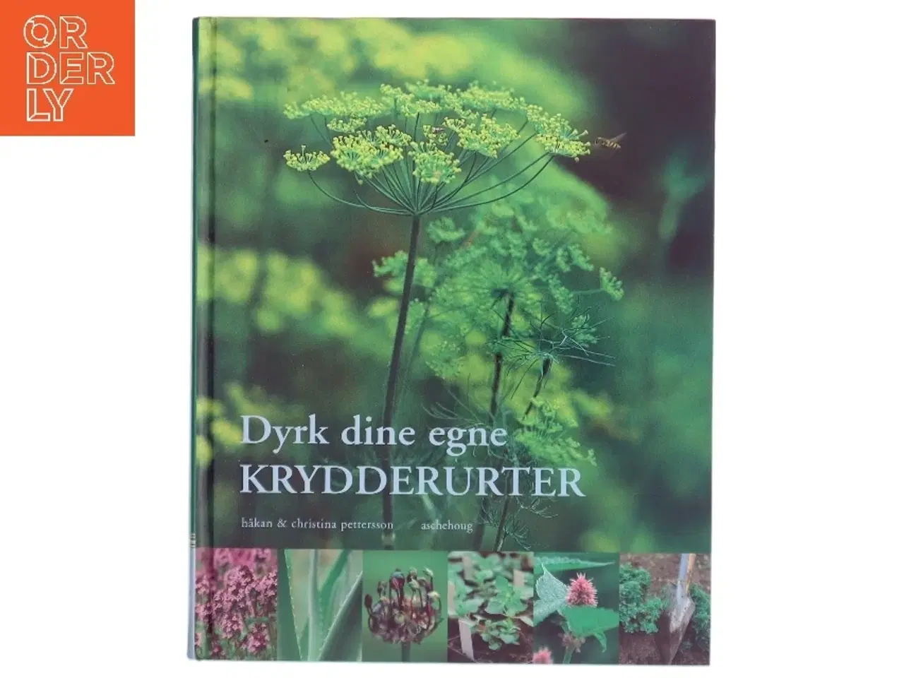 Billede 1 - Dyrk dine egne krydderurter (Bog)