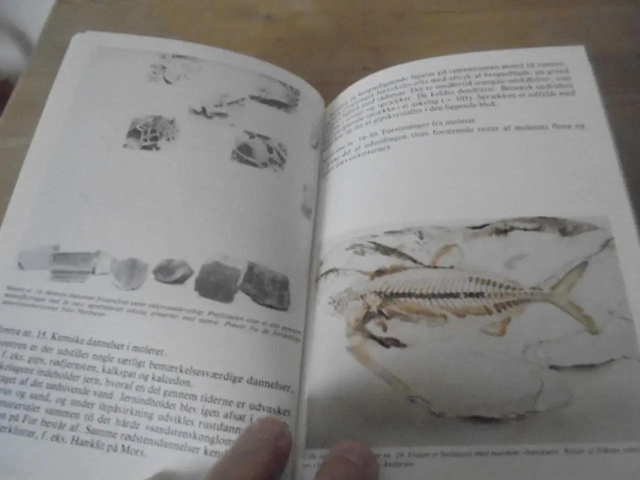 Billede 2 - Fur museum – udgivelse fra ca. 1980