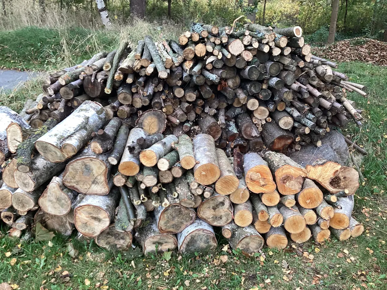 Billede 2 - Firewood