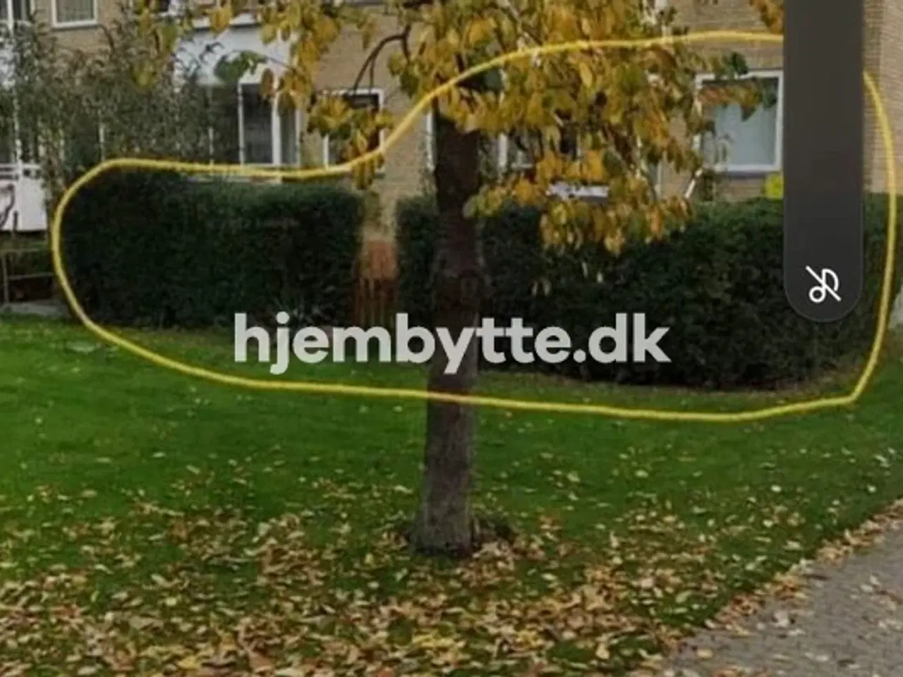 Billede 5 - Hjembytte - Folehaven