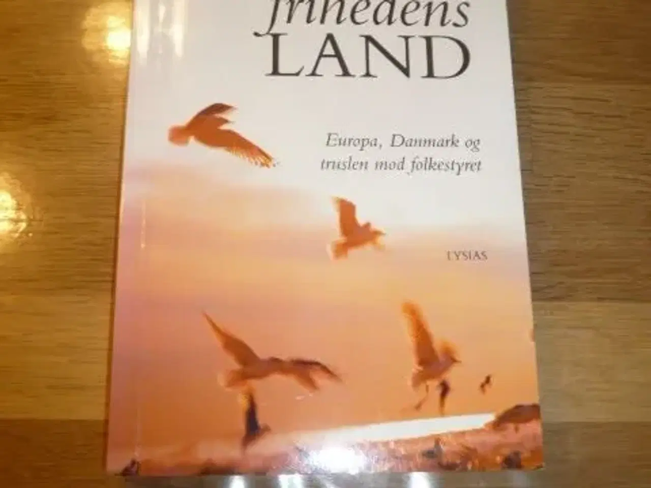 Billede 1 - Frihedens Land