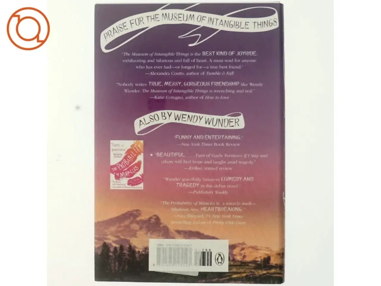 Billede 3 - The museum of intangible things af Wendy Wunder
