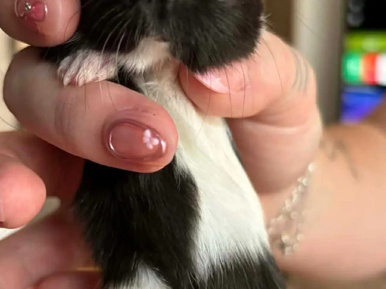 Billede 3 - Mor med 3 unger 