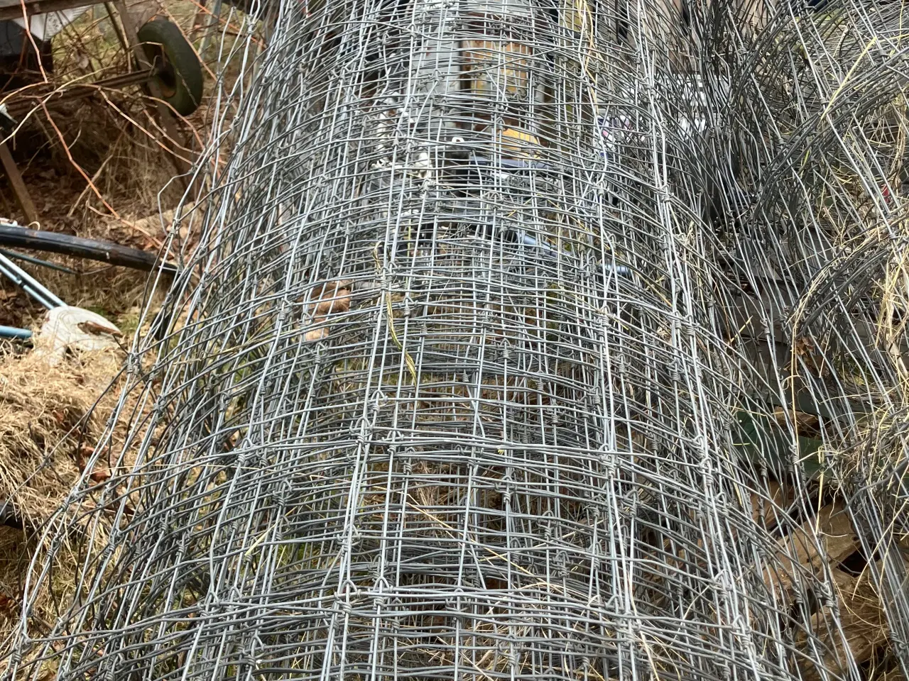 Billede 2 - Dyre hegn