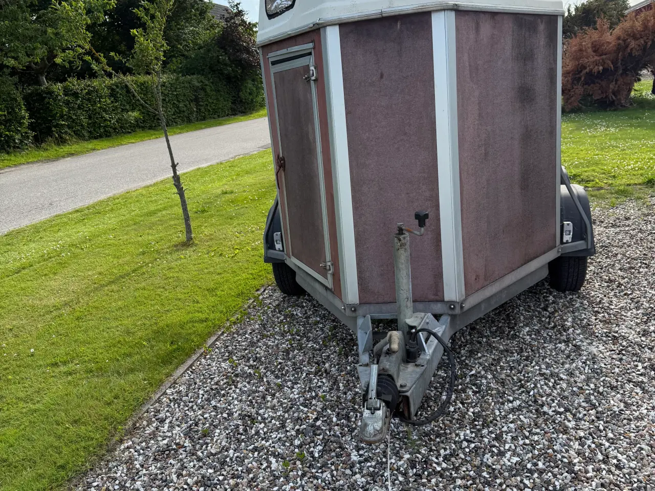 Billede 3 - Hestetrailer 