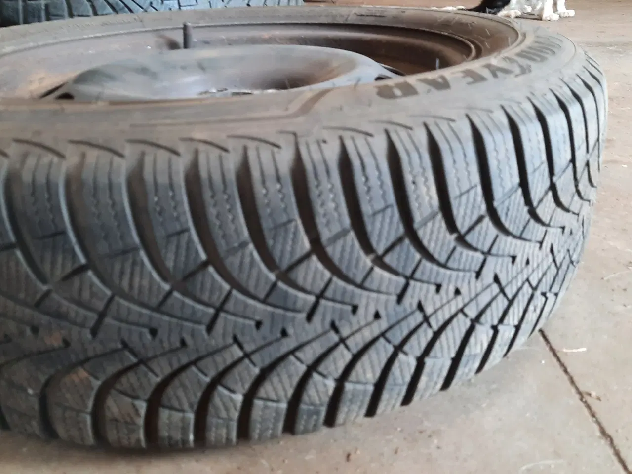 Billede 1 - Vinterdæk GoodYear Fiat