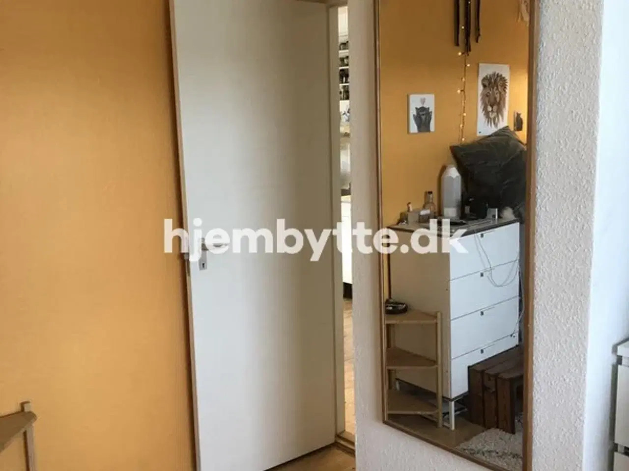 Billede 8 - Hjembytte - Skovengen