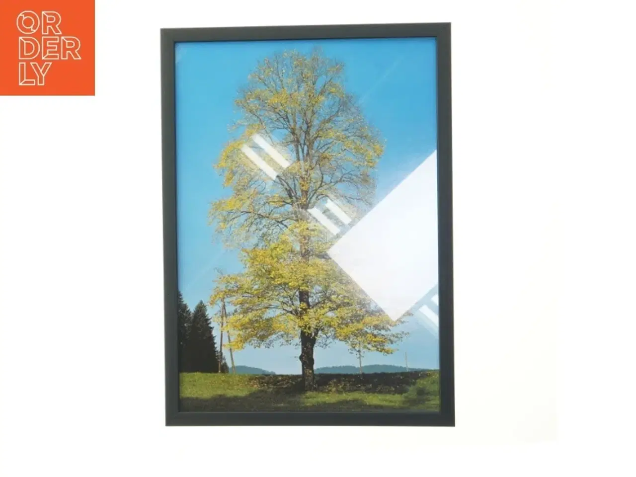 Billede 1 - Indrammet billede af træ (str. 29,8x42 cm)