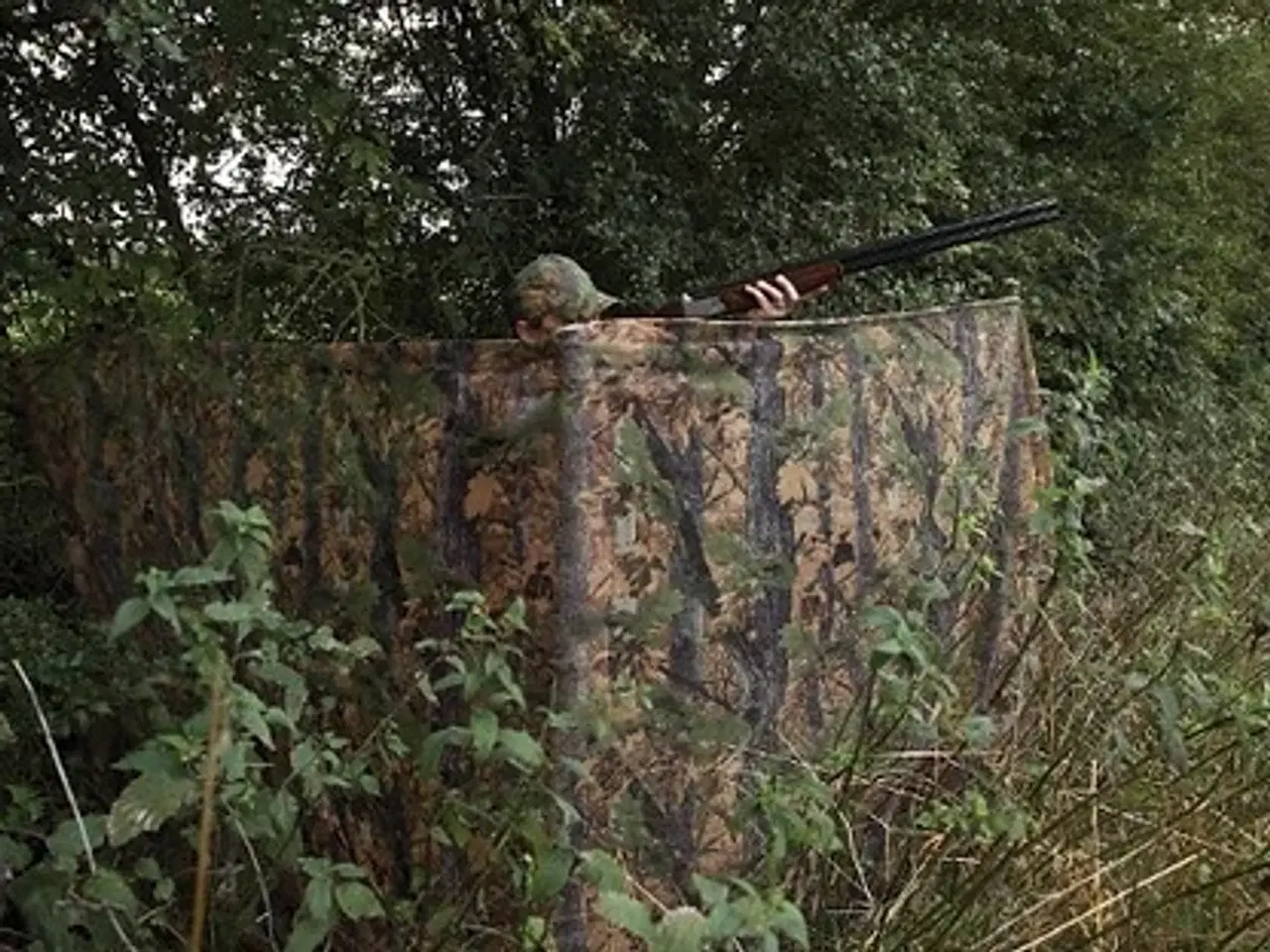 Billede 3 - Camouflagenet, lokkeugle og krage lokkekald.
