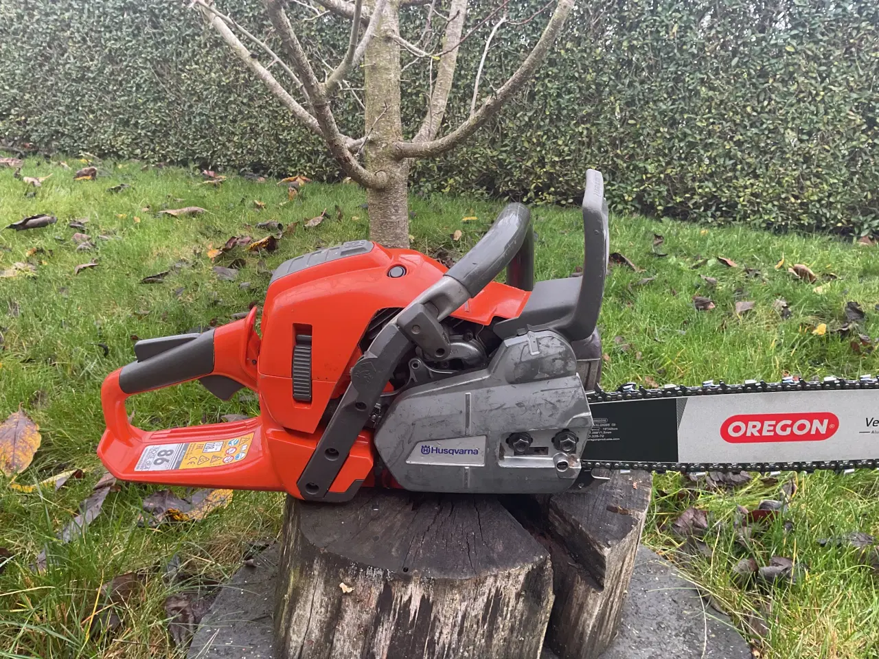 Billede 3 - Husqvarna 560XPG