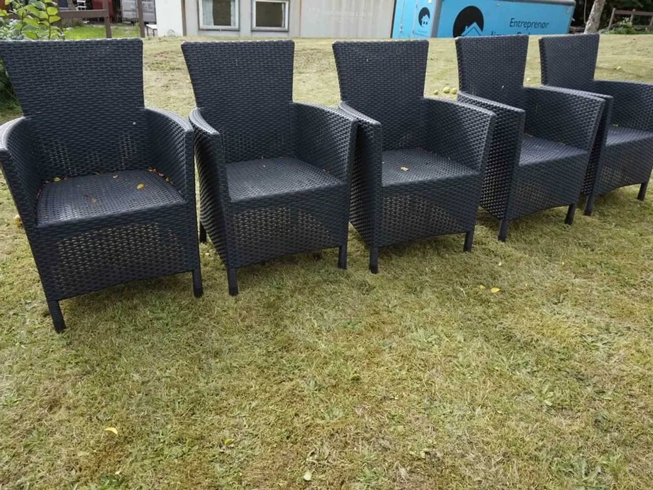 Billede 1 - 5 stk Havestole Rattan