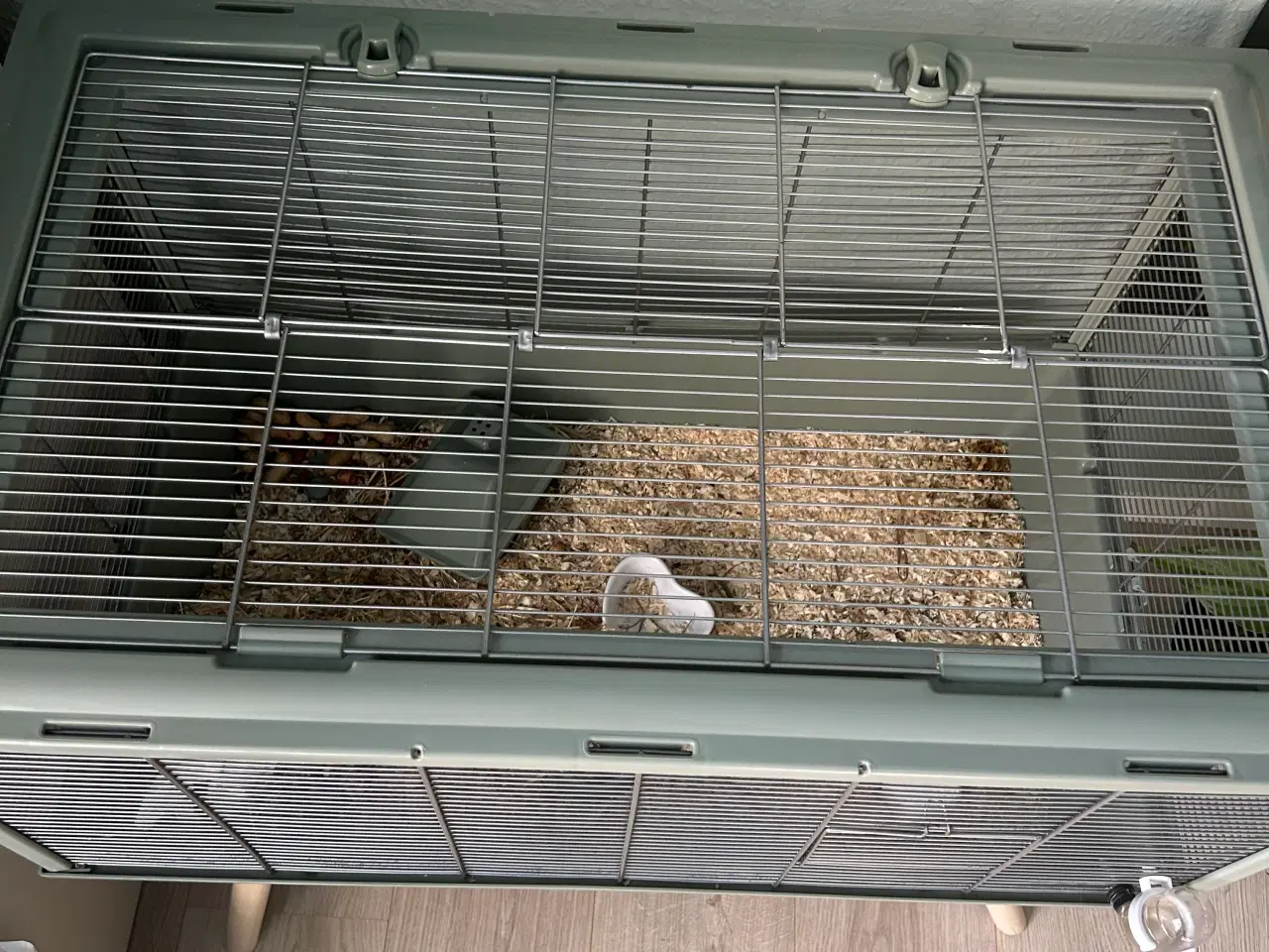 Billede 6 - Guldhamster + bur