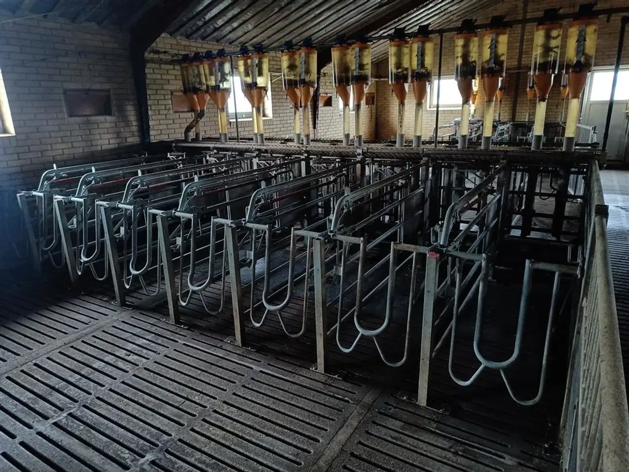 Billede 9 - - - - Egebjerg Æde / hvile boks ca. 400 stk.