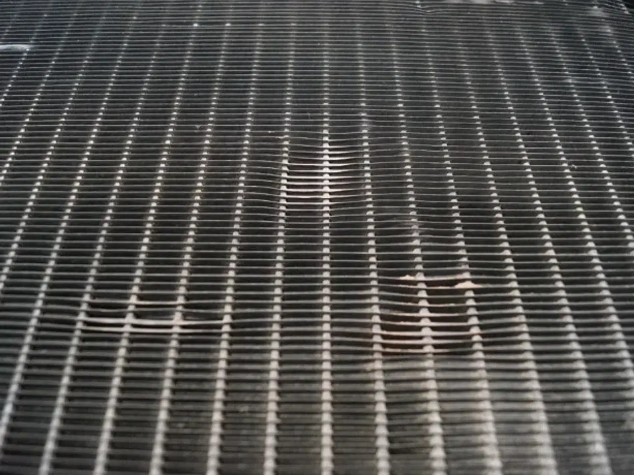 Billede 11 - New Holland 8770 Køler 86013263