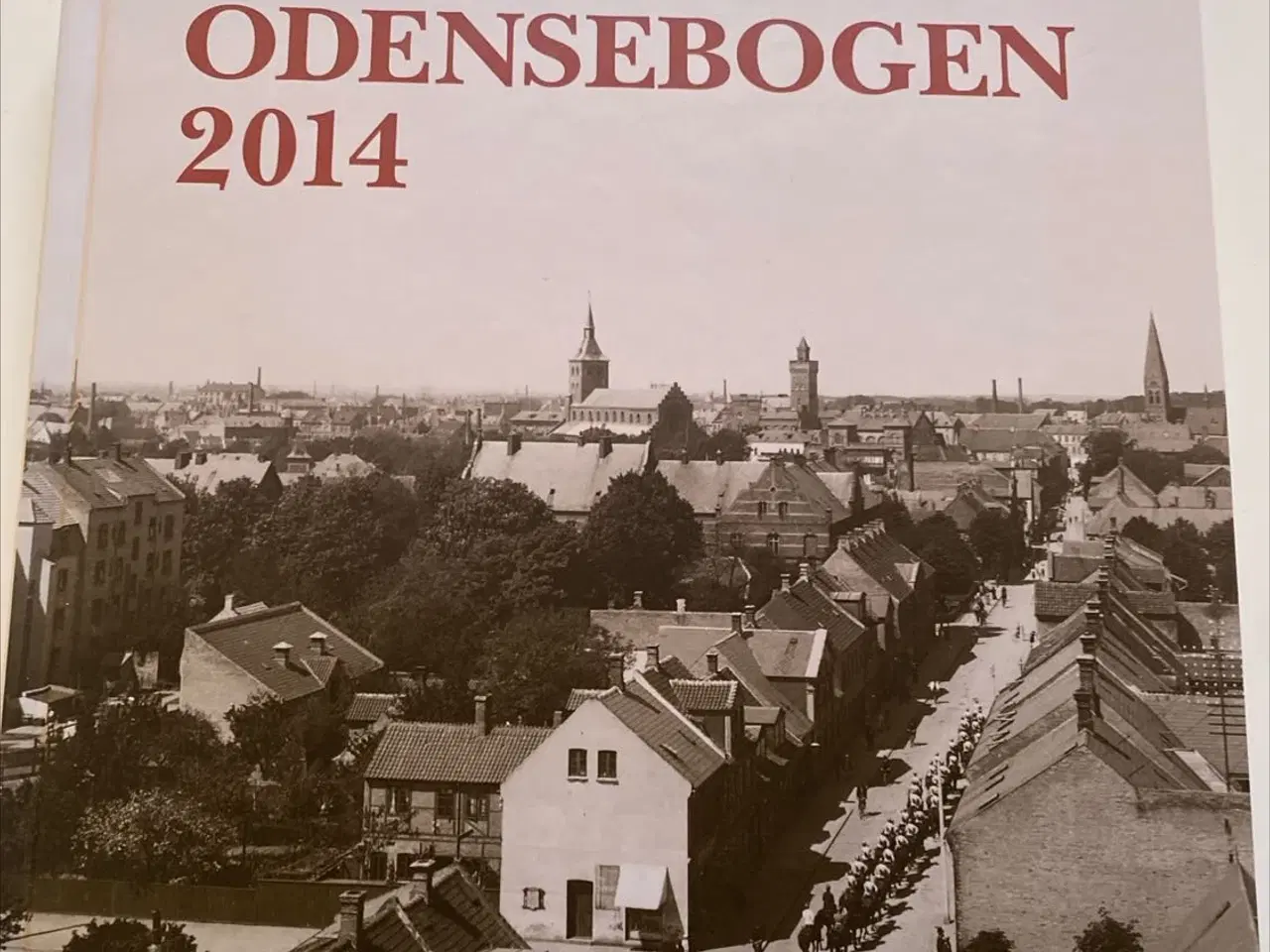 Billede 1 - ODENSEBOGEN 2014