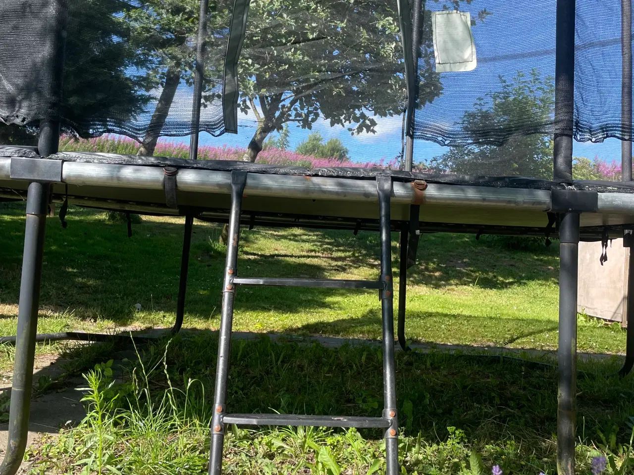 Billede 2 - trampolin - jumpking 244x366