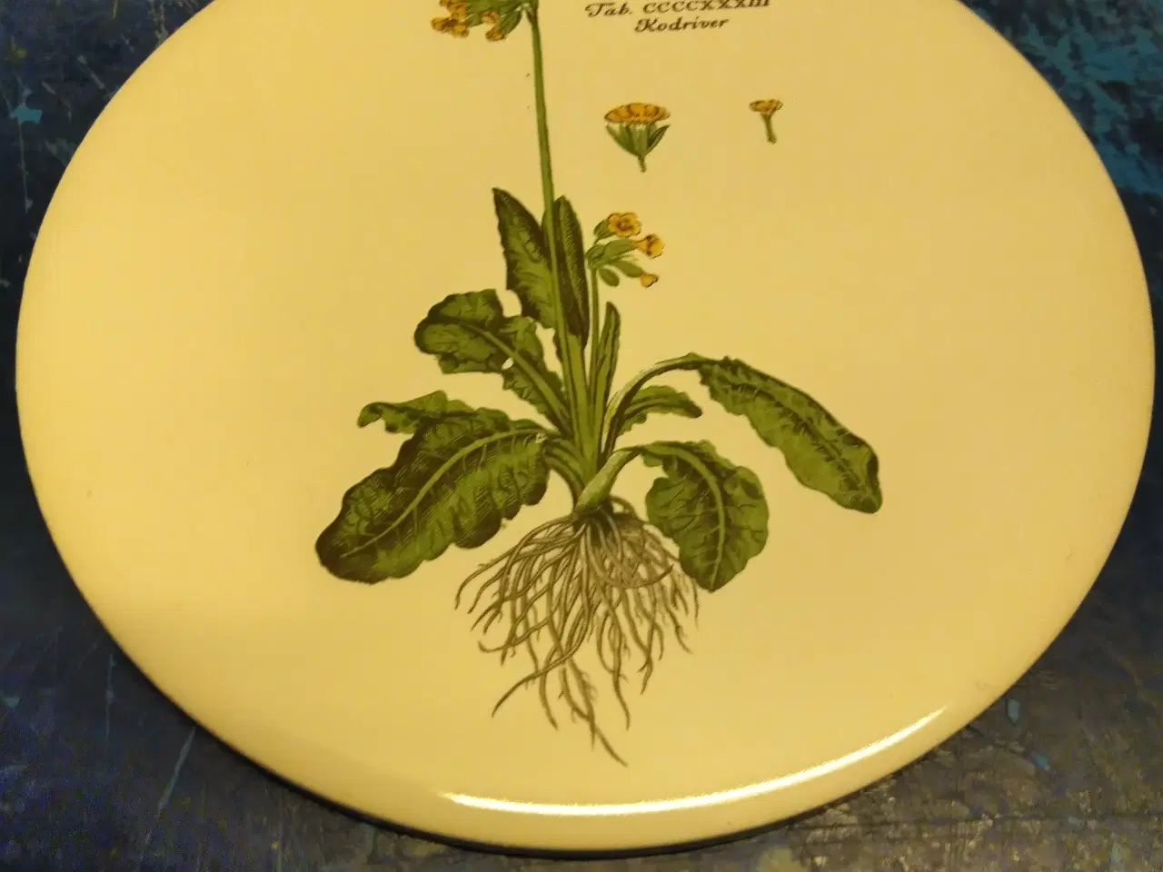 Billede 2 - Flora Danica platter