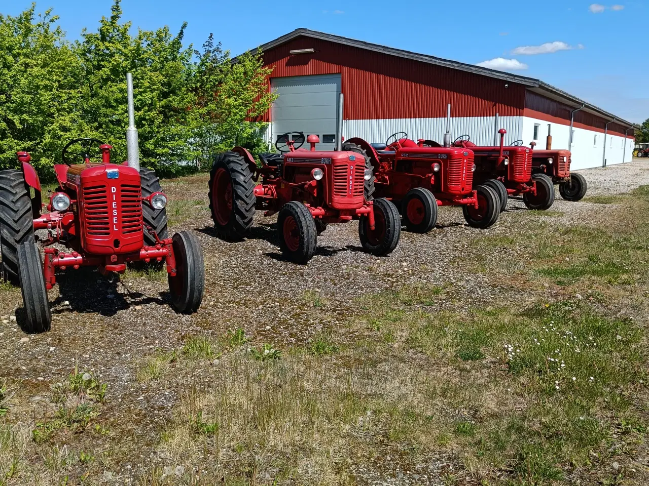 Billede 12 - Bukh 452  Traktor 