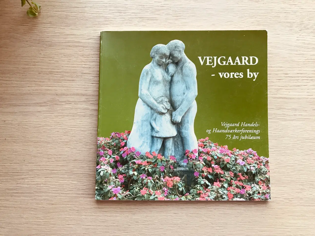 Billede 1 - Vejgaard - vores by