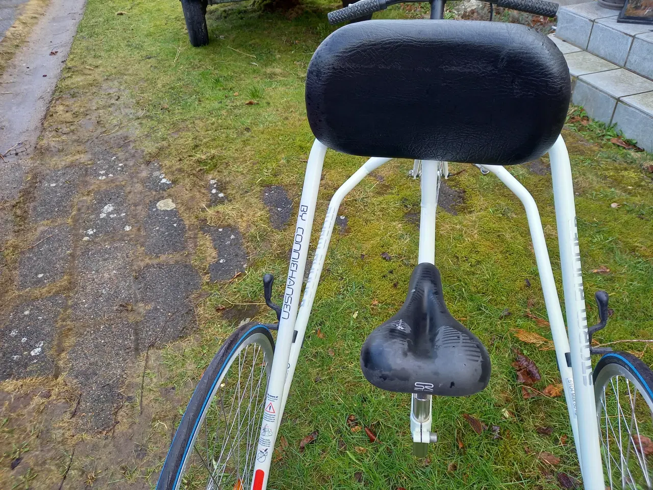 Billede 5 - Framerunner/racerunner