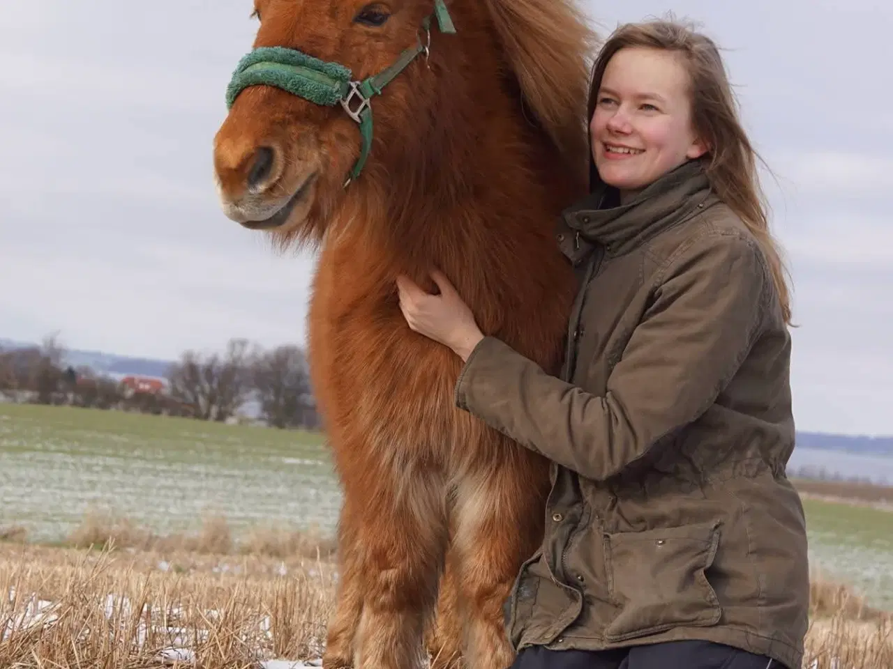 Billede 2 - Shetlænderen Betterøv