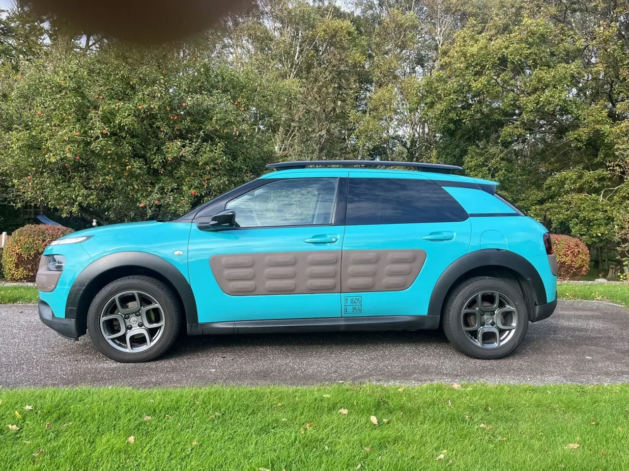 Billede 7 - Citroën C4 Cactus 1,6 BlueHDi 100 Shine ETG6 Van