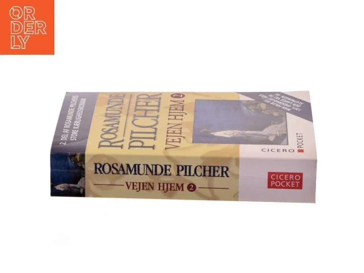 Billede 2 - Vejen Hjem af Rosamunde Pilcher (Bog)